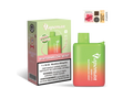 Watermelon Mint - Vapeman B6000 - 5pc/pack - EXCISED
